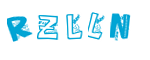 5di5sk